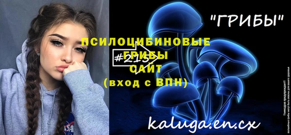 ешки Михайлов