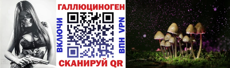 Галлюциногенные грибы MAGIC MUSHROOMS  ОМГ ОМГ ссылки  Кизел 